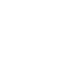 Verification of Document icon